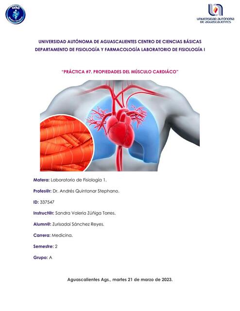 Propiedades del Músculo Cardiaco 