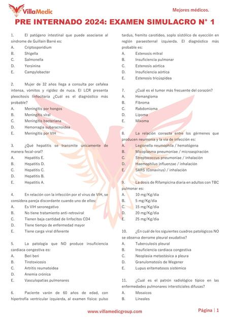 Examen Simulacro 