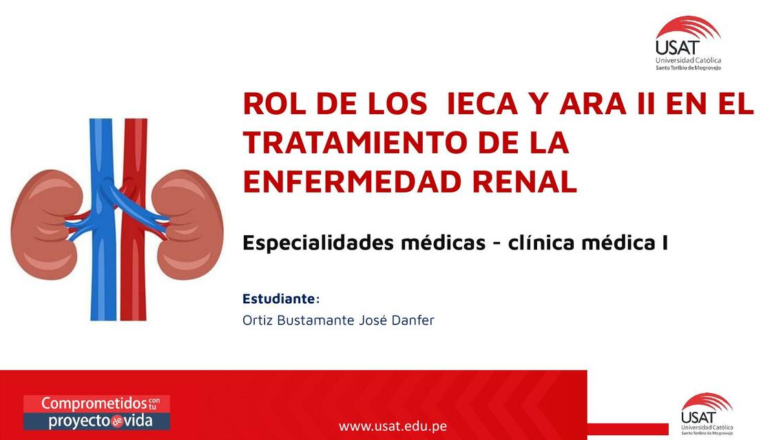 Rol de los ECA y ARA II en el Tratamiento de la Enfermedad Renal 