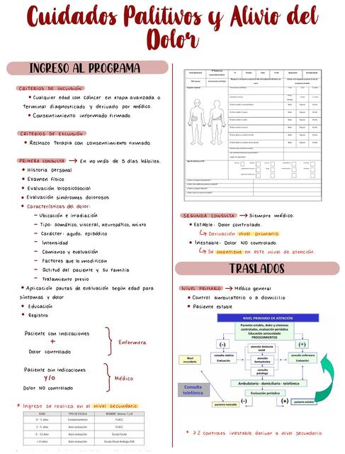 Programa de Cuidados Paliativos y Alivio del Dolor