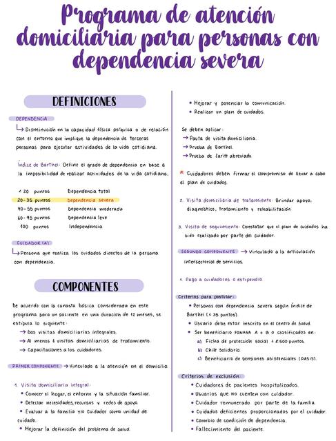 Programa de atención domiciliaria para personas con dependencia severa