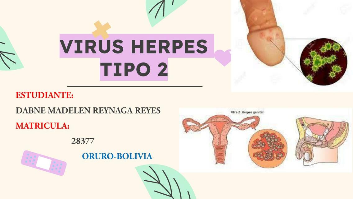 Virus herpes tipo 2 