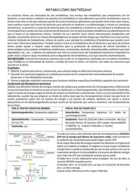 Metabolismo bacteriano