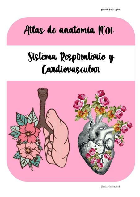 Sistema Respiratorio y Cardiovascular