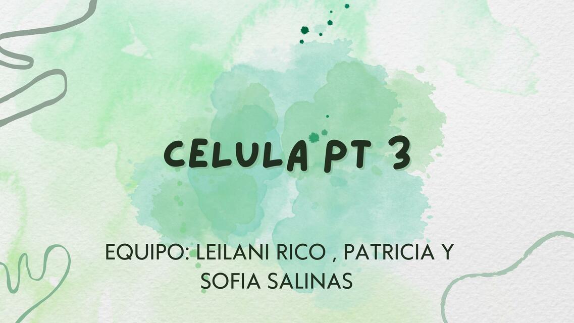 Célula PT3 