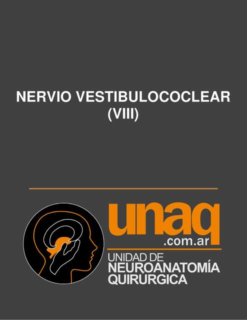 Nervio Vestibulococlear (VIII)