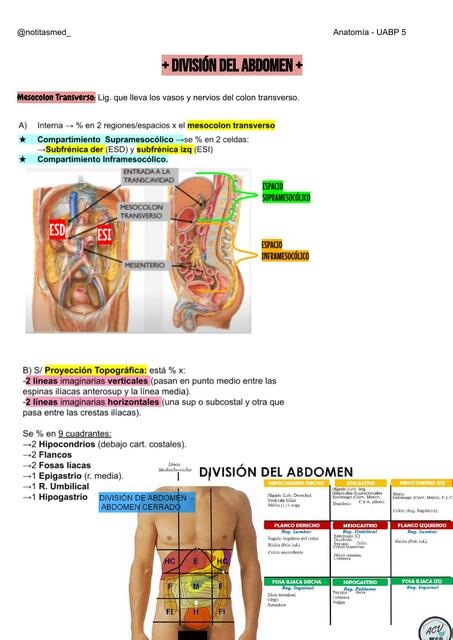 Páncreas Anatomía 1