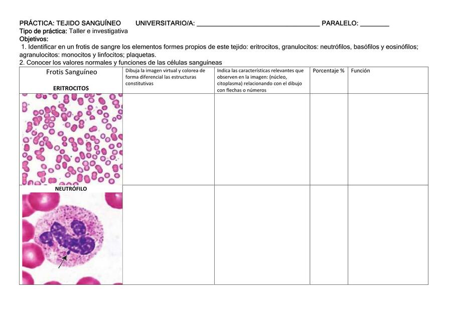 Practica 2 sangre y hematopoyesis