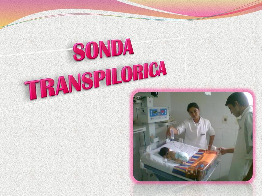 Sonda Transpilórica  