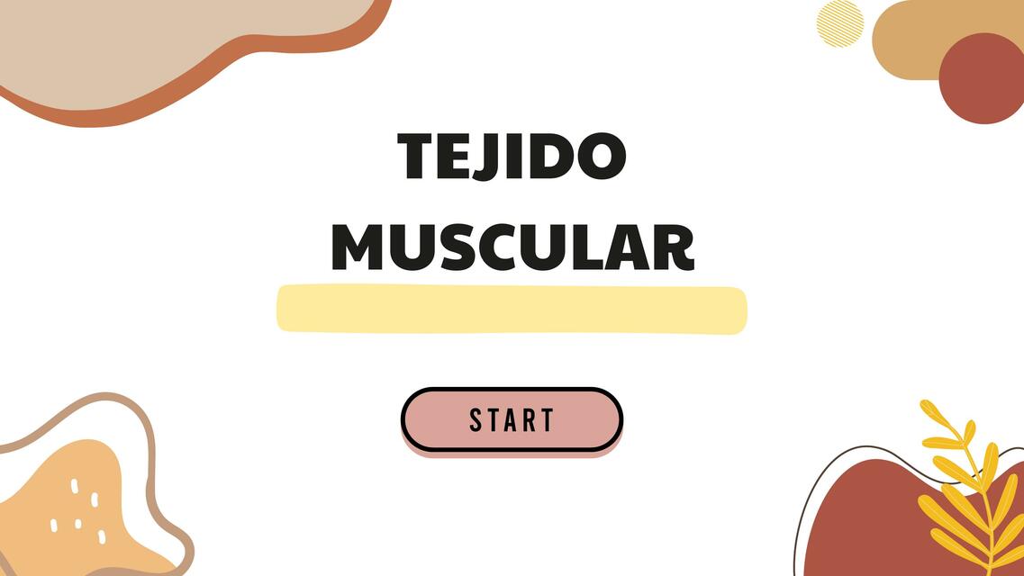 Tejido muscular 