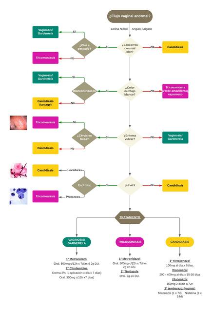 Diagrama de Flujo de Vaginosis 