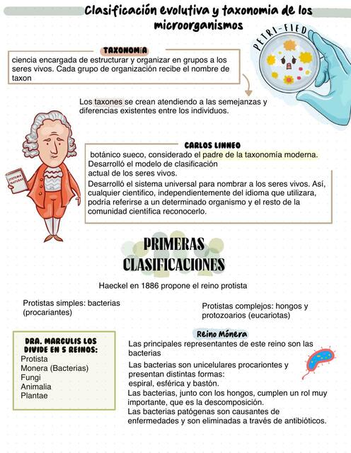 Clasificación Evolutiva y Taxonomía de los Microorganismos