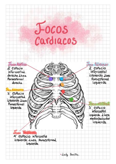 Focos cardíacos