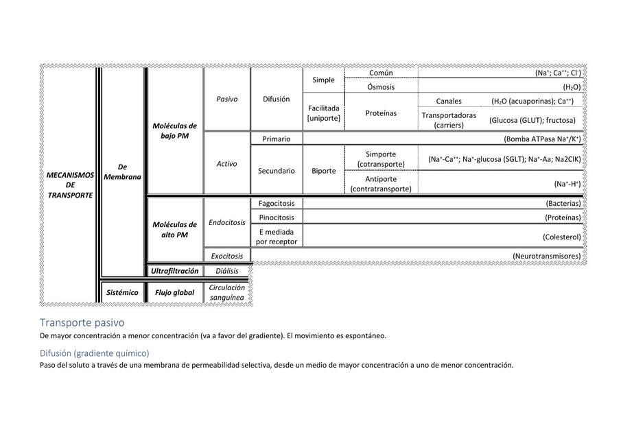 Mecanismos de Transporte de Membrana
