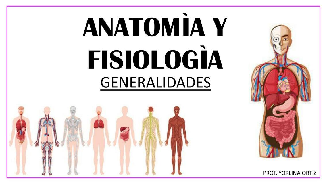 Anatomía y fisiologia