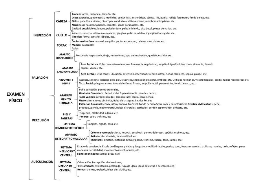 Examen Físico