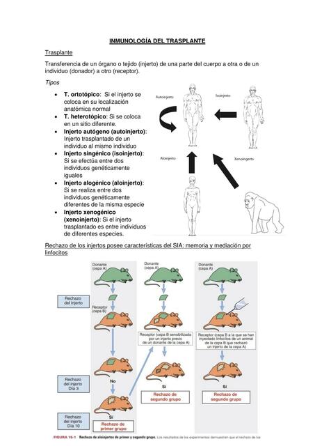 Inmunología del trasplante