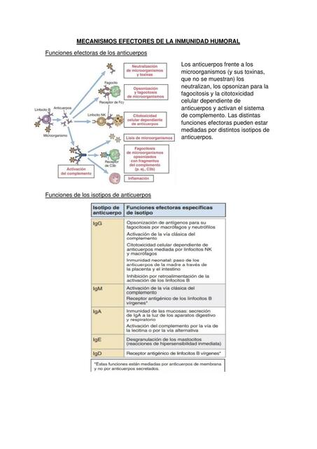 Mecanismos efectores de la inmunidad humoral