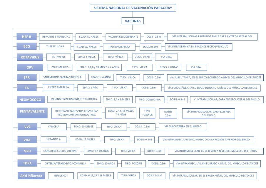 Sistema Nocional  De Vacunación  Paraguay 