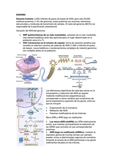 La célula como unidad de salud y enfermedad