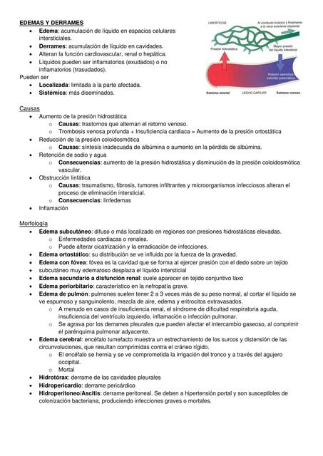 Trastornos Hemodinámicos y Shock