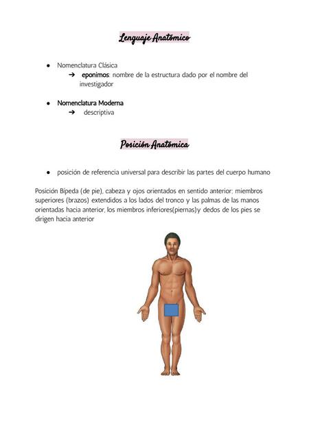 Generalidades de Anatomía 