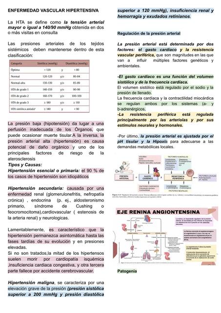 Resumen Patología Robbins EVH Arterioesclerosis 