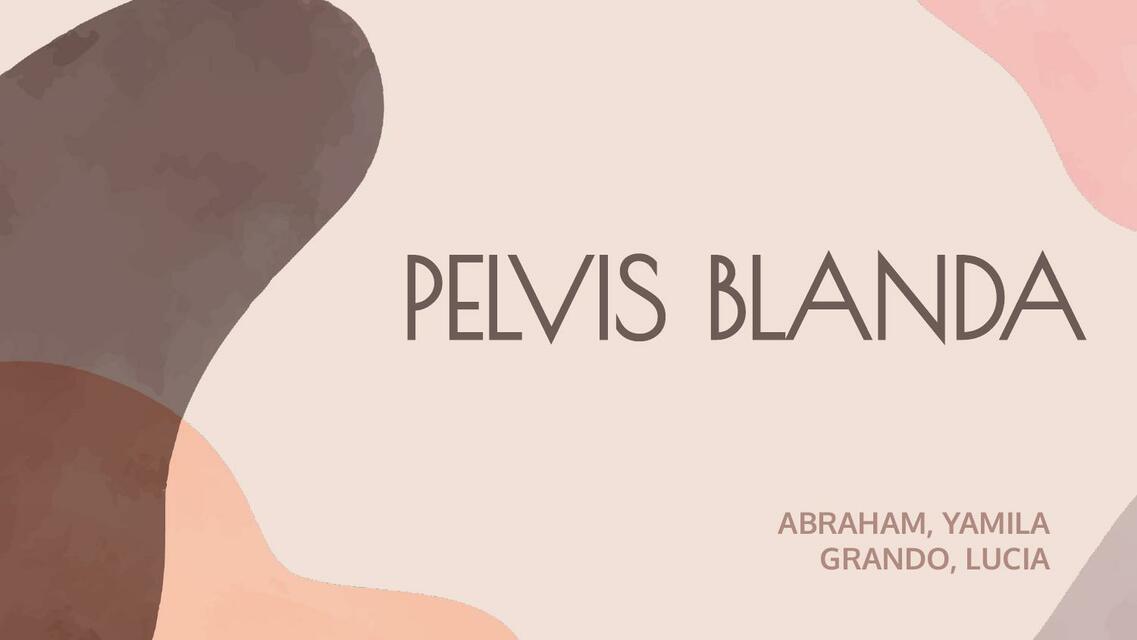 PELVIS BLANDA