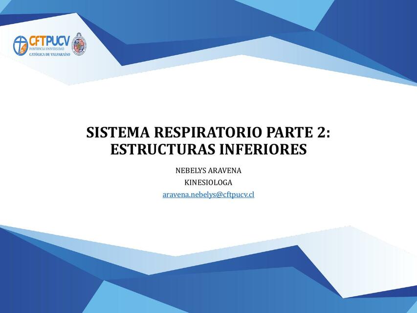 Sistema Respiratorio 