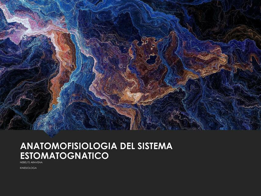 Anatomonfisiología del Sistema Estomatognatico 