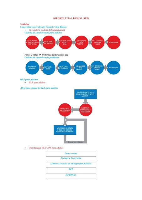 Soporte vital básico 