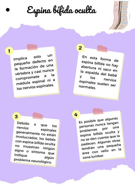 Espina bífida oculta | Educación Especial | uDocz