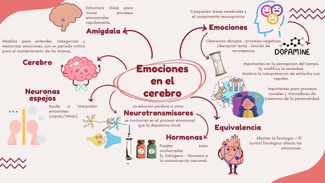 Emociones en el cerebro