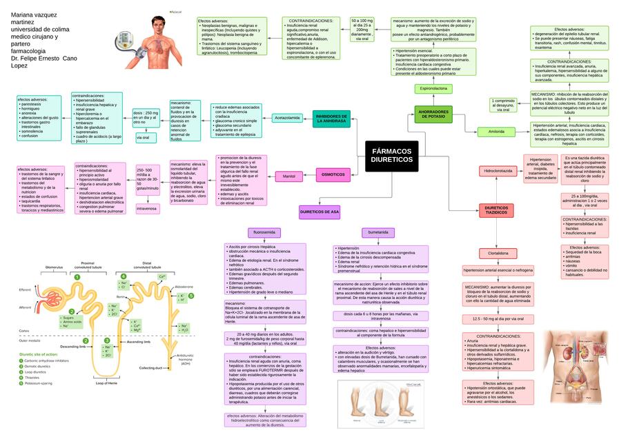 Fármacos diuréticos 