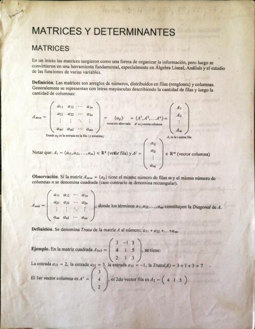 Guías de estudio - Matrices y determinantes