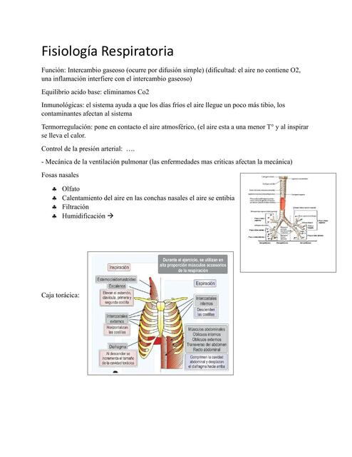 Fisiología Respiratoria 