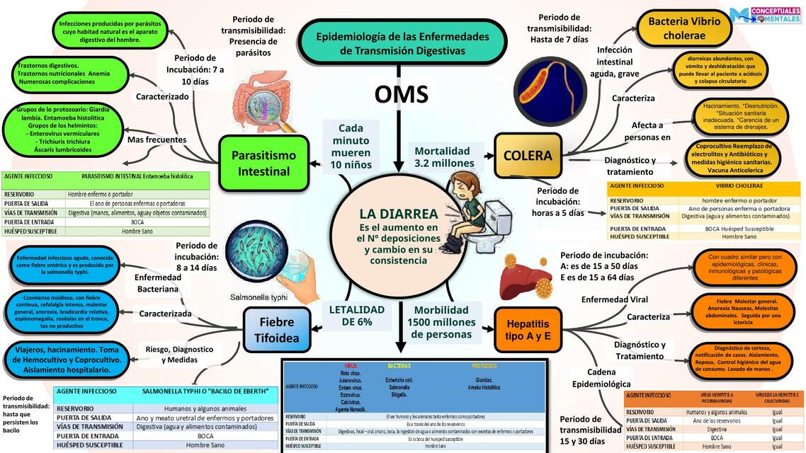 La diarrea mapa conceptual