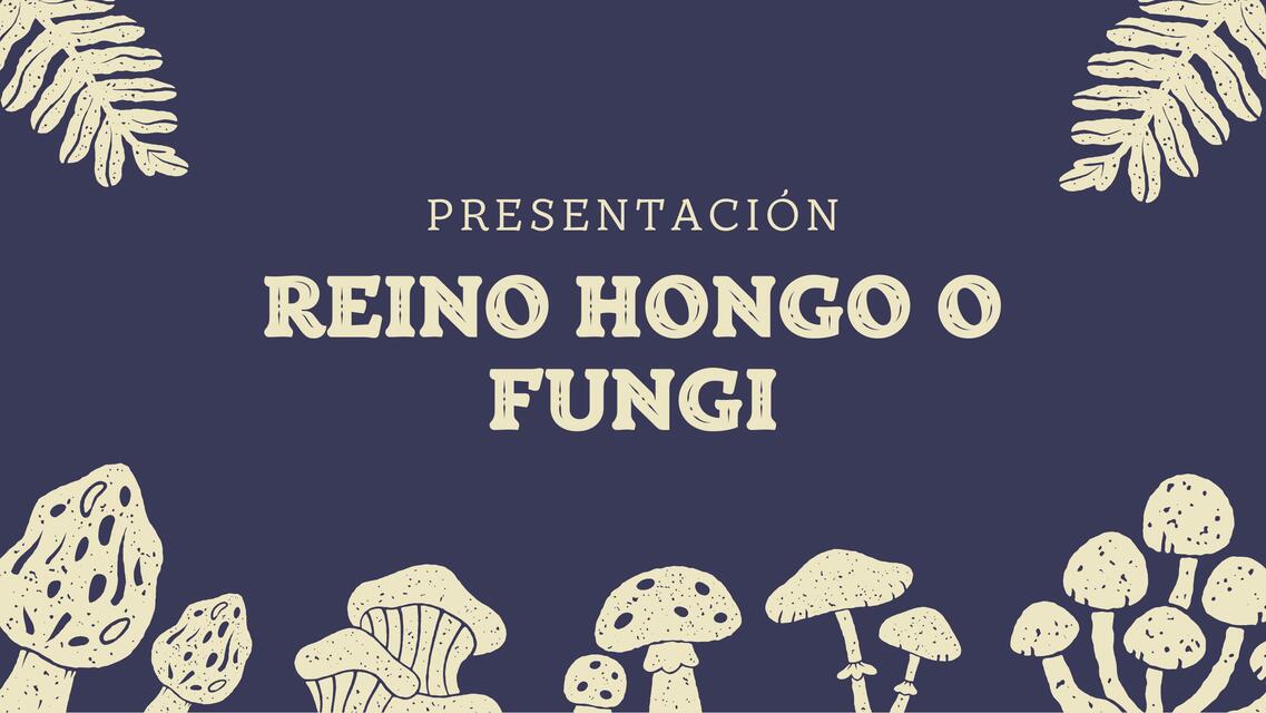 Reino Hongo o Fungi 