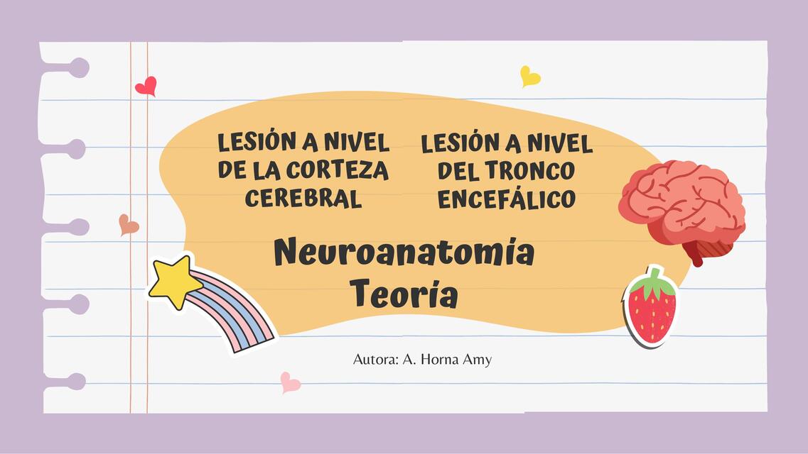  Neuroanatomía Teoría 