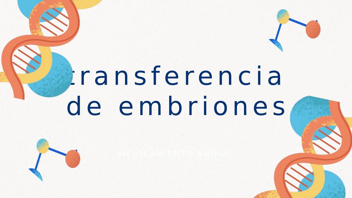 Transferencia de embriones 