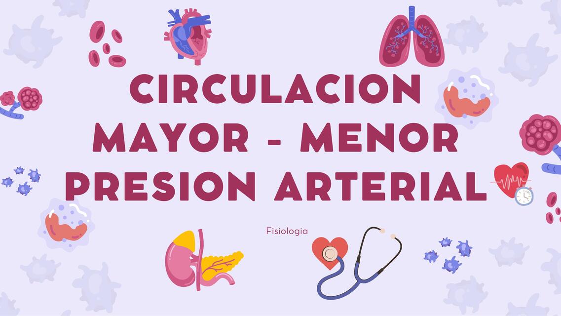 Circulación mayor - menor presión arterial  