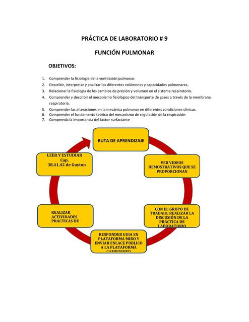 Función pulmonar 