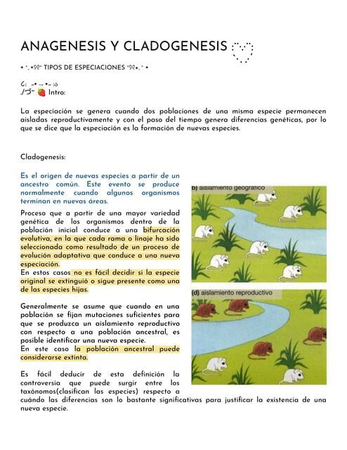 Difference Between Anagenesis And Cladogenesis