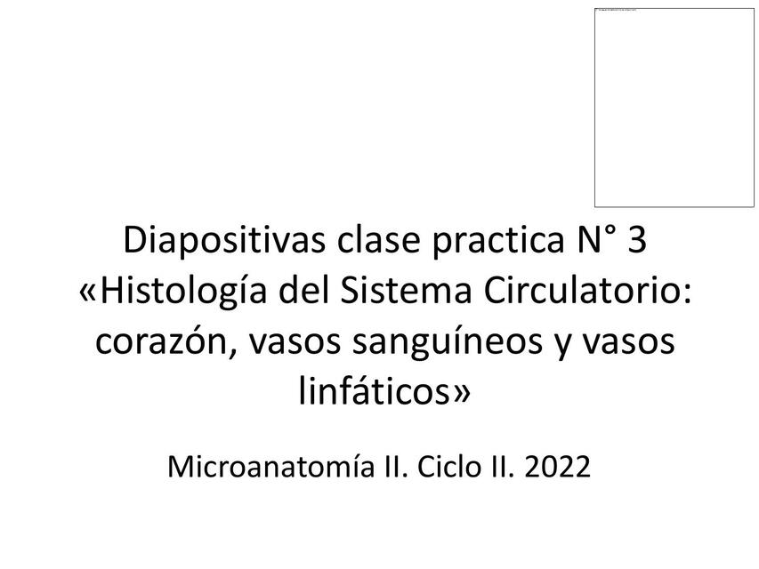 Histología del Sistema Circulatorio: Corazón, Vasos Sanguíneos y Vasos Linfáticos