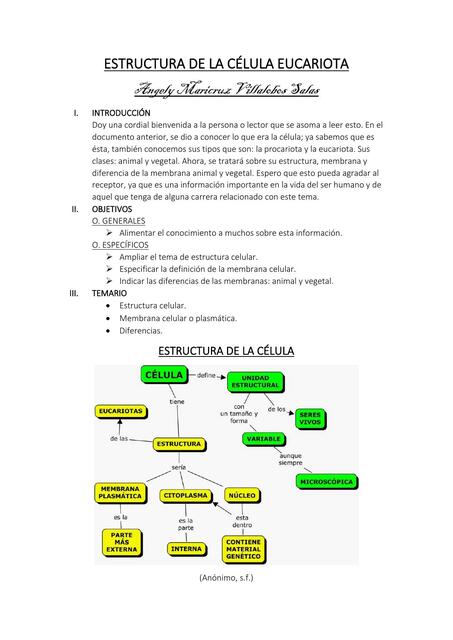 Estructura de la célula eucariota