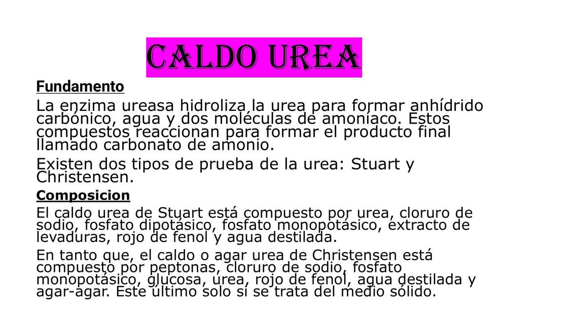 Caldo Urea 