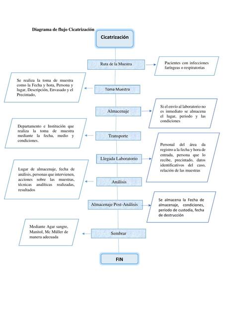 Diagrama Flujo cicatrización 