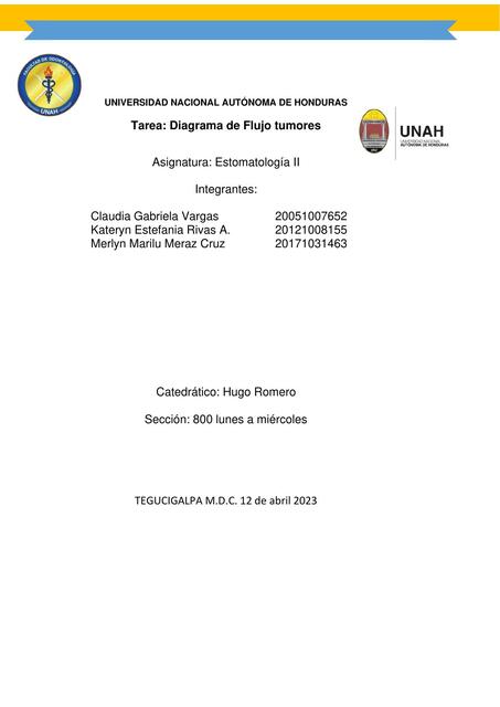 Diagrama de flujo Tumores