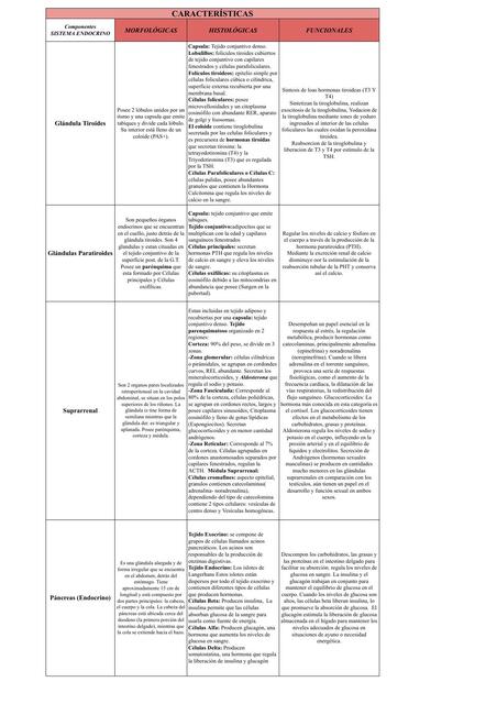 Sistema Endocrino Características morfológicas, histológicas y funcionales