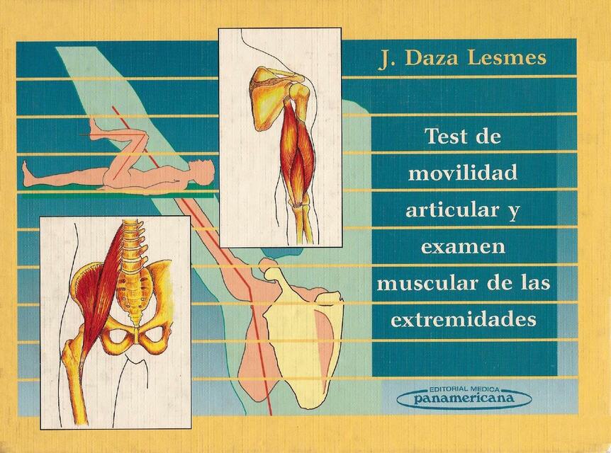 Movilidad  Articular  Daza  Lesmes 